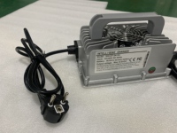Cargador de batería de litio personalizado, cargador de batería de iones de litio resistente al agua para batería de litio Lifepo4 NCM con pantalla en tiempo Real
