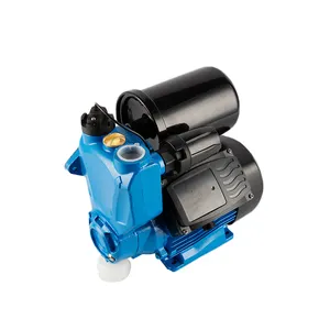 Flow Switch Equipped Smart Intelligent Type Clean Water Pump 1HP 750W Bomba for Sale