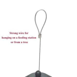 Lantaarnvormige Moer Feeder Poeder Gecoat Metalen Mesh Vogel Feeder Met Drainage Gaten Voor Wilde Vogels - Product Image 4