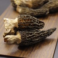 Champignon de morme sauvage de croissance naturelle de haute qualité, prix de gros