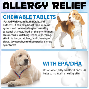 Oimmal Strellalab Pereda Alergi Anjing Alami Murni, Kunyahan Penguat Imunitas Semua Usia, Suplemen Perawatan Kesehatan Hewan Peliharaan - Product Image 5
