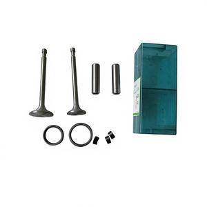 High Quality 28hp Diesel Engine Starter Genuine Jianghuai ZH1125 Valve Assembly Brand New <b>Agricultural</b> <b>Machinery</b> <b>Parts</b> Tractors - Product Image 1