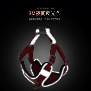 Arnés para Perro con Correa de Entrega Rápida, Arnés de Malla Suave Mejorado para Cachorros, para Paseos al Aire Libre - Product Image 2