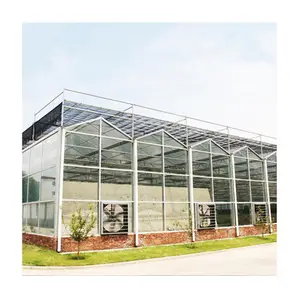 Large size commercial muti span vegetable glass greenhouse for tomato