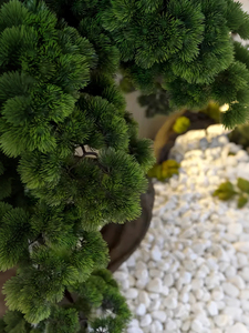 Bonsái de Pino Artificial Realista - Decoración Interior en Miniatura para el Hogar y la Oficina |   Bajo mantenimiento, duradero, natural - Product Image 4