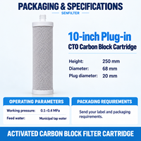 Cartouche de filtre à bloc de carbone CTO de 10 pouces avec connecteur enfichable de 20 mm pour purificateurs d'eau