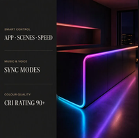 Bande LED néon intelligente à changement de couleur, basse tension, port USB, contrôle par application mobile, activation musicale, contrôle sonore, éclairage extérieur IP65