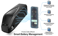 Batterie de vélo électrique 48V 20Ah avec suivi GPS, pack de batteries 5000mAh, cellules 21700, BMS intelligent 50A, antivol, connecteur XT60