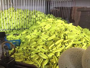 Büyük köpekler için tenis topu 9.5 "şişme dev tenis topları Pet çiğnemek oyuncak köpek tenis topu büyük evcil hayvan oyuncakları komik açık spor - Product Image 6