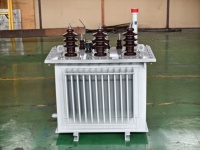 Transformateur de puissance immergé dans l'huile triphasé CE 10KV-35KV vers 400V-415V/380V haute tension à triple enroulement 50/60Hz 250KVA