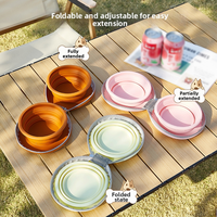 Mangeoire double pliable en silicone pour animaux de compagnie, de luxe, écologique, étanche, à suspendre, pour l'extérieur, accessoires pour nourriture et eau pour chiens