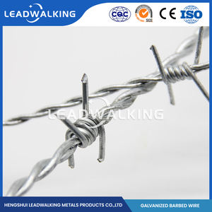 Alambre de púas de alta seguridad para cercas, doble espiral, galvanizado en caliente, bobina de alambre de hierro de 2 y 4 puntas, protección de aislamiento tipo cuchilla - Product Image 4