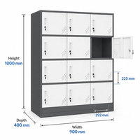 Armoire à casiers en acier à 12 portes pour le bureau, l'école, la salle de sport, le personnel, avec des compartiments sécurisés verrouillables et un design moderne