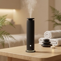 Diffuseur de parfum sans eau, machine électrique, lampe de nuit LED, purificateur d'odeurs haute performance pour hall d'hôtel commercial