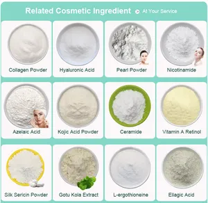 Pincredit Supply Bulk Cosmetic Raw Material Pure Sodium Hyaluronate Hyaluronic Acid Powder