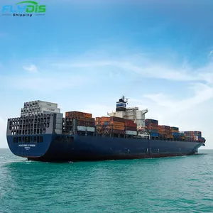 Logística de China al mar, servicio de envío barato carga a Corea del Sur Japón India Malasia DDU/DDP servicio