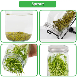 Venta caliente 16oz Vacío Boca Ancha Mason Seed Broting Jar Kit 2 Sprouter Glass Mason Jars con tapas <span class=keywords><strong>de</strong></span> pantalla Soportes y bandejas - Product Image 6