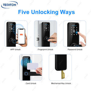 Tediton Großhandelspreis Intelligentes Schloss WLAN-App Fingerabdruck Fechadura Electronica Digital Schlüsselloses Tuya Smart Lock - Product Image 2