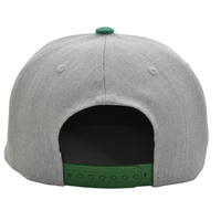 Gorra Snapback Personalizada de 6 Paneles de Algodón de Alta Calidad con Logotipo Bordado en 3D, para Viajes, Moda, Deportes Casuales al Aire Libre