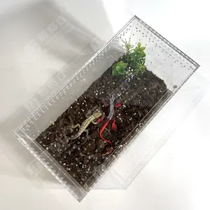 Clear Acrylic Arboreal Reptile Spider Scorpion Collective Enclosure For Display