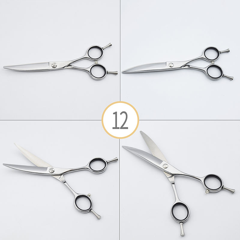 ซิลเวอร์-12