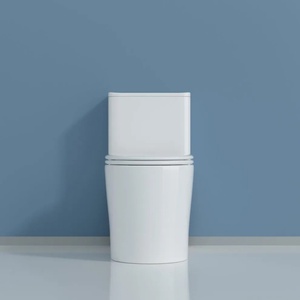 Lavado de inodoro de cerámica blanca ecológica Diseño moderno para baño S-Trap Drenaje barato - Product Image 6