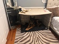 Cage à chien robuste pliable à double porte avec panneau de séparation et plateau en plastique – Design populaire