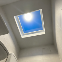 Panneau lumineux LED à lumière naturelle artificielle Zigbee Tuya APP avec variateur d'intensité pour sous-sols, chambres et salons