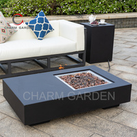 Transformez votre espace extérieur avec cette magnifique table à feu