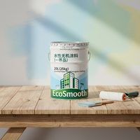 Peinture de décoration intérieure ignifuge inorganique de classe A, à base d'eau, sans odeur, personnalisée par le fabricant OEM