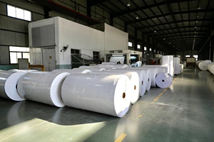 Các nhà sản xuất giá thấp nhiệt giấy Jumbo CuộN 400mm 790mm 1100mm - Product Image 5