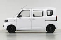 Wuling Sunshine EV 2025 Standard Mini-fourgonnette électrique LHD Véhicule à énergie nouvelle Prêt à être expédié