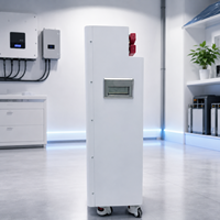 Batería LiFePO4 de 16 kWh con Ruedas para Almacenamiento de Energía Renovable Doméstica