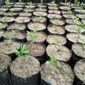 Sac de culture en pot noir pour plantes de jardin, sac de culture pour semis, transplantation, pot de culture - Product Image 5