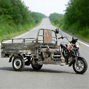Triciclo de Acero Inoxidable para Transporte de Mercancías, Uso Agrícola y Pesquero, Scooter de Carga Doméstico - Product Image 6