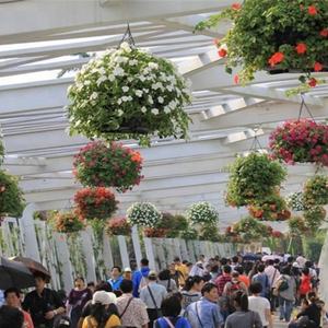 SOL Nueva Cesta Colgante Grande Decorativa con Forma de Bola de Flores, Fácil de Rellenar - Product Image 5