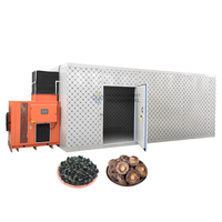 Séchoir industriel pour aliments, légumes, épices et champignons