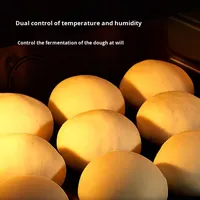 Armoire de Fermentation Commerciale à Circulation d'Air Chaud en Acier Inoxydable pour Pains et Pizzas