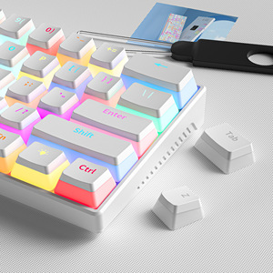 Teclado Mecánico Portátil para Juegos, 60%, con Interruptores, Teclas Pudding, Retroiluminación RGB, Mini, con Cable, para Oficina, Portátil, PC, Mini, Blanco - Product Image 5