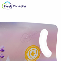Sacs d'emballage en plastique de savon liquide de lessive 1L 3L personnalisé en usine avec bec verseur