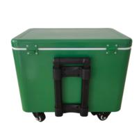 Chariot isotherme roulant 40L/50L, nouveau style, glacière métallique, boîte de refroidissement avec roues et poignée de traction pour l'extérieur