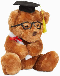 Juguete de animales de peluche con logotipo personalizado, koala de peluche de juguete para mascota, recuerdo de Graduación - Product Image 3