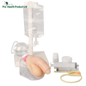 Simulator Kateterisasi Pria - Product Image 3