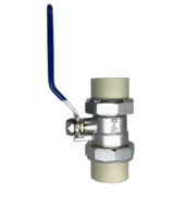 PPR longue poignée Double Union laiton robinet à boisseau sphérique plomberie robinet à boisseau sphérique PPR raccords de tuyauterie avec couleur personnalisée