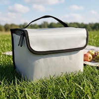 Sac de stockage LiPo personnalisé OEM d'usine, grande capacité, étanche, ignifuge, anti-explosion, pour batterie au lithium