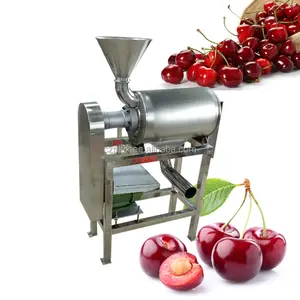 Máquina industrial de processamento de suco de frutas, pulverizador de vegetais, laranja, limão, morango, uva, cereja, tomate, manga, processamento