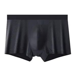 Bán Buôn Cộng Với Kích Thước Siêu Mỏng Thoáng Khí Liền Mạch Nylon Băng Lụa Boxer Cho Nam Giới Của Quần Short Đồ Lót