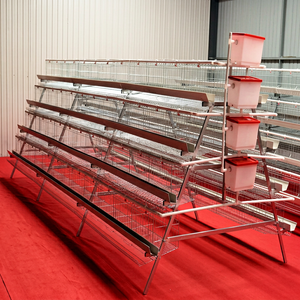 Sistema de Jaulas para Aves de Corral Tipo A con Estructura de Acero Galvanizado para Cría de Gallinas Ponedoras de Alta Densidad - Product Image 1