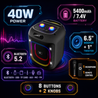 Enceinte Karaoké Portable 40W avec Subwoofer 6,5 pouces, Lumière Disco LED RGB, Microphone Sans Fil et Batterie Rechargeable pour Fêtes