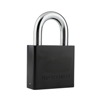 LCKLUX Best-seller Cadenas à clé antirouille de haute qualité Cadenas de sécurité en fer avec style attrayant Vente en gros